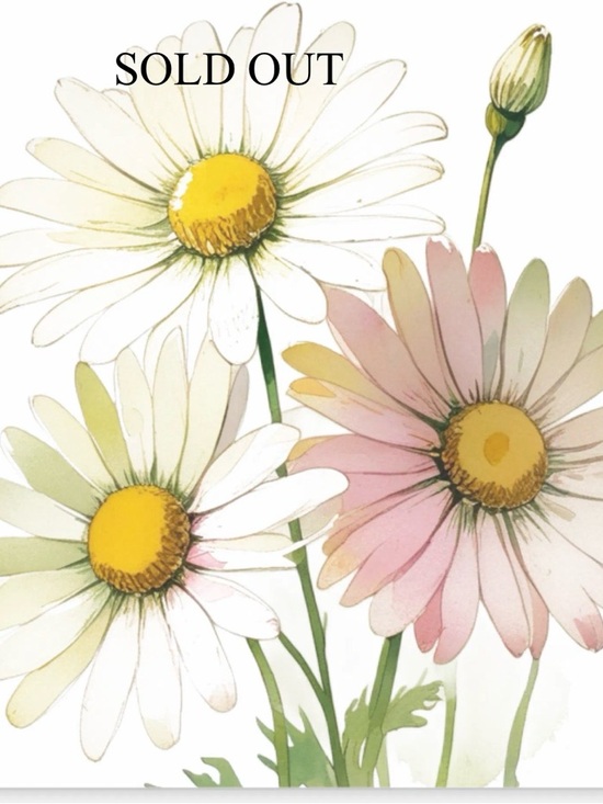 POL Pants - Sold Out